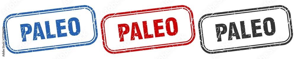 paleo square isolated sign set. paleo stamp paleo square isolated sign set. paleo stamp