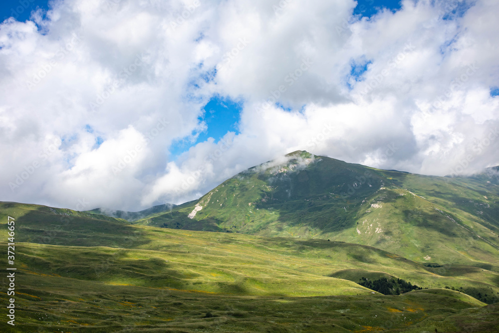 Fototapeta premium Blooming meadows in the summer landscapes of the caucasus mountains in Russia