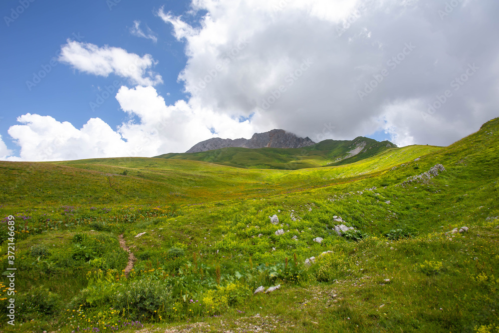 Blooming meadows in the summer landscapes of the caucasus mountains in Russia Blooming meadows in the summer landscapes of the caucasus mountains in Russia