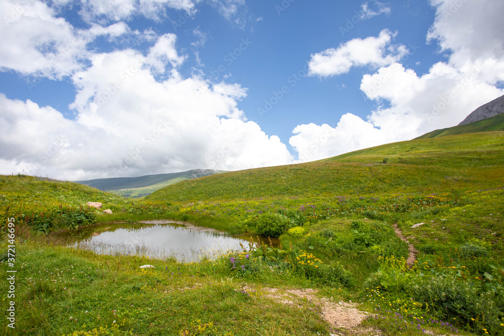 Blooming meadows in the summer landscapes of the caucasus mountains in Russia Blooming meadows in the summer landscapes of the caucasus mountains in Russia
