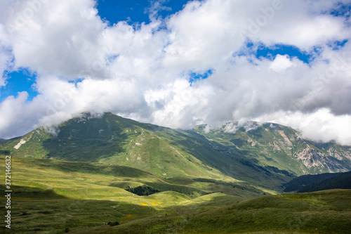 Blooming meadows in the summer landscapes of the caucasus mountains in Russia