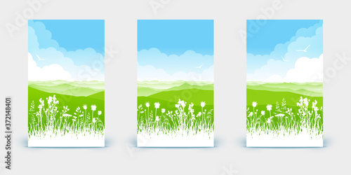 Set of vertical banners - summer scene with wild herbs and mountains on cloudy sky background