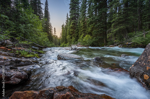 Mountain river flowing through a forest at sunset.