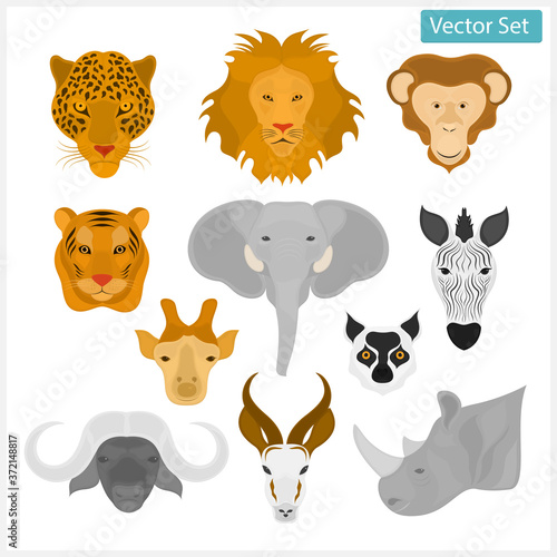Vector heads of wild animals. Animals of Africa.