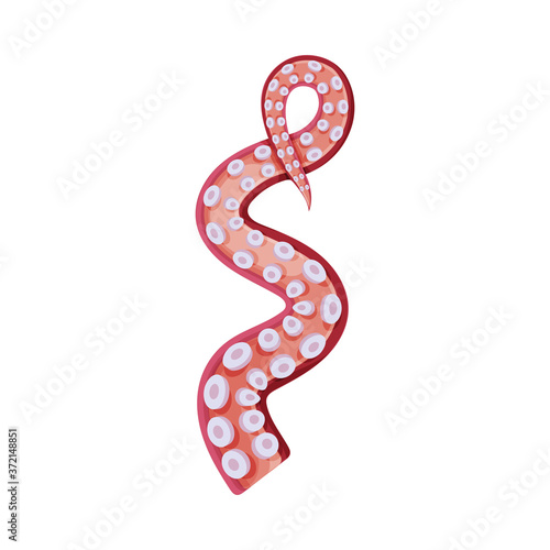 Spiral Octopus Tentacle, Underwater Marine Creature Part of Body Vector Illustration
