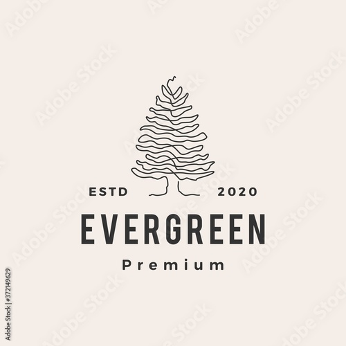 evergreen tree hipster vintage logo vector icon illustration