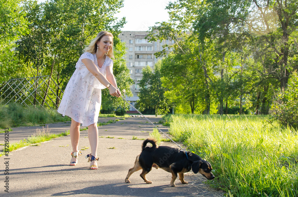 A beautiful blonde girl in a light dress has difficulty keeping her small dog on a leash while walking A beautiful blonde girl in a light dress has difficulty keeping her small dog on a leash while walking