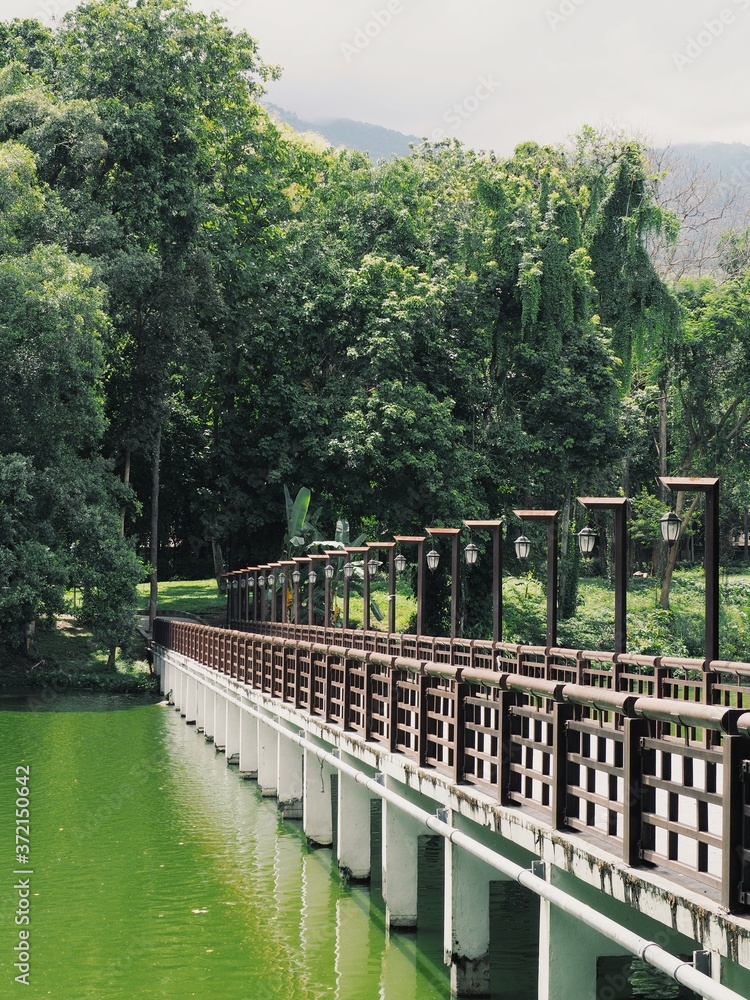 Fototapeta premium Processed with VSCO with g3 preset