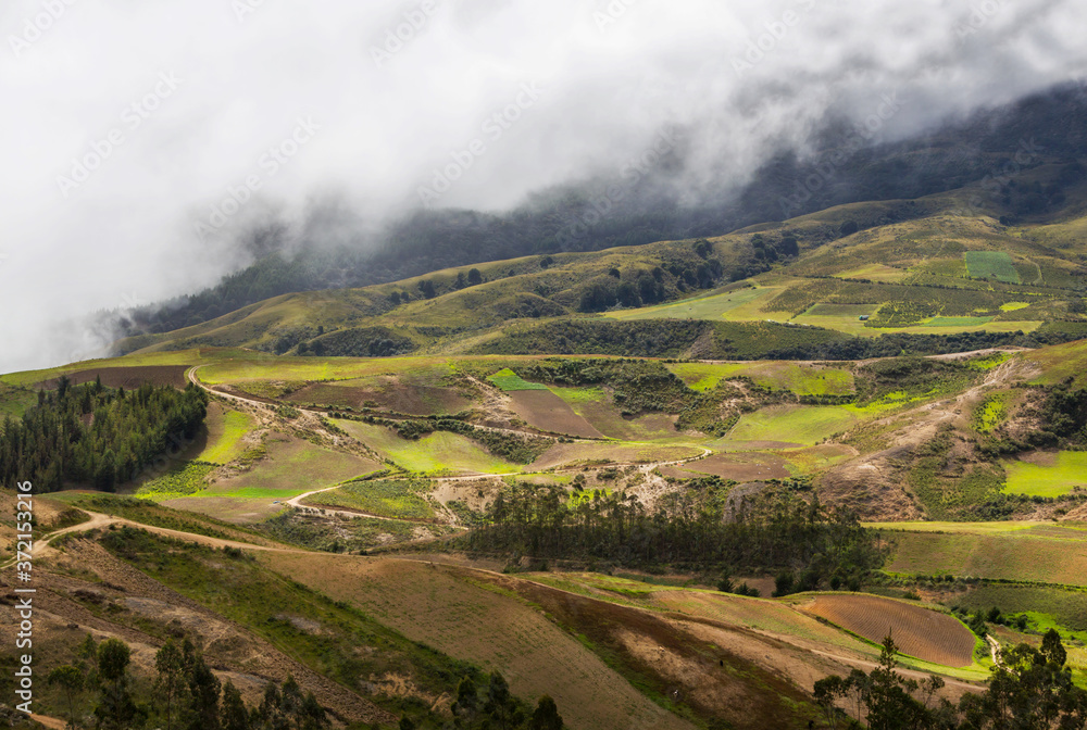 Fototapeta premium Green hills