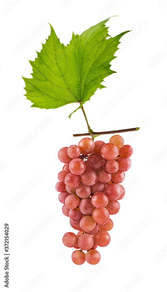 Obraz premium Grapes isolated on white background with clipping path
