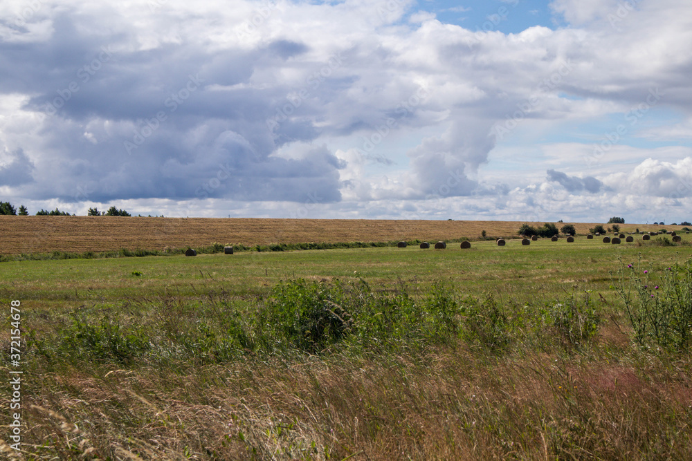 Plains on outskirts of Gdansk.