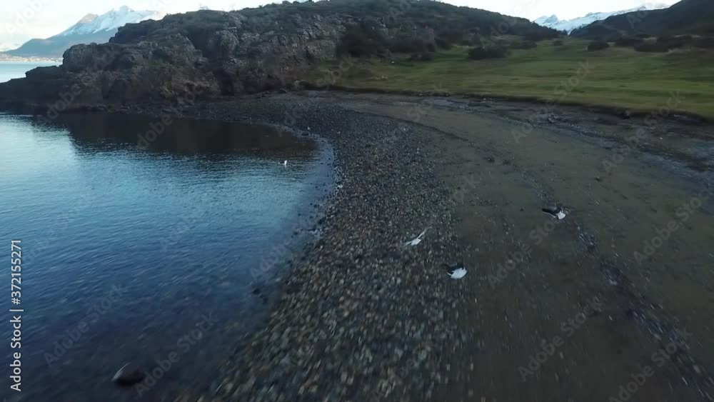 aerial drone low flight over beach and beagle channel ushuaia reveal aerial drone low flight over beach and beagle channel ushuaia reveal