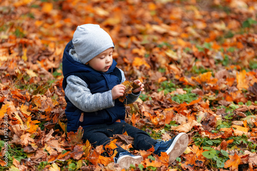 Toddler baby boy in the autumn leaves