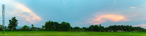 The beautiful panorama landscape, The Twilight time sunset with colorful clouds at the top of the Rice fields, Phayao Northern Thailand