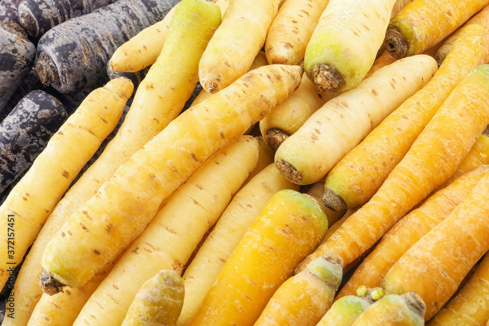 Pile of different carrots as background, closeup Pile of different carrots as background, closeup