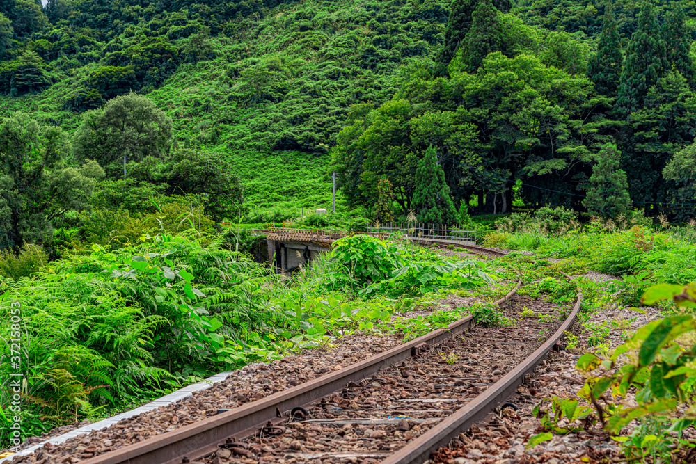 Fototapeta premium 【秘境ローカル線イメージ】只見線の風景