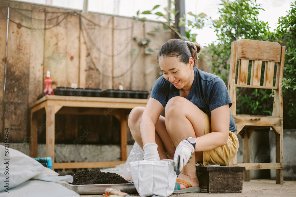 Asian woman Preparing the soil To plant trees at his house. Holiday activities by planting and caring for trees Asian woman Preparing the soil To plant trees at his house. Holiday activities by planting and caring for trees