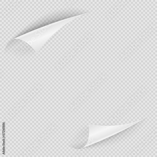 Curly edge. Transparent realistic paper template with two curly edge. Vector clear bend canvas illustration