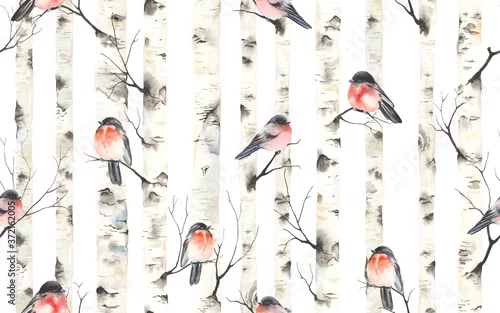 Obraz Birch trees with bullfinches birds on branches, watercolor seamless pattern. Forest illustration of stems, nature template, Christmas background.