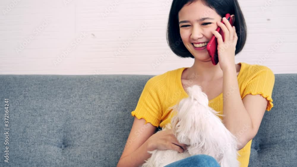 Young woman using mobile phone on sofa at home with her Maltese dog. Young woman using mobile phone on sofa at home with her Maltese dog.