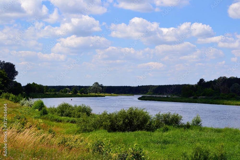 A beautiful view of the peaceful Narew river. Sunny, summer day at the river Narew in polish countryside. River in western Belarus and north-eastern Poland, is a right tributary of the Vistula River. 
