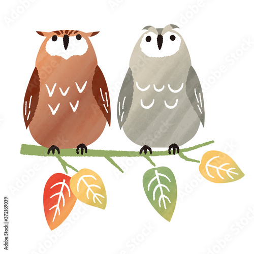 autumn watercolor owl
