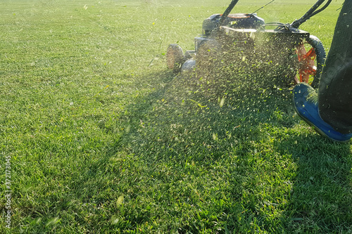Mowing grass flies from the lawn mower.