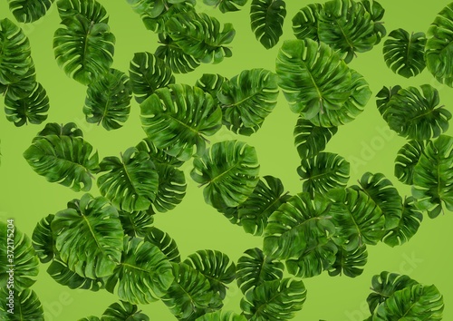 3D Realistic Render Monstera Deliciosa leaf seamless pattern. Modern tropical background with jungle plants. Green exotic pattern with monstera leaves on green or white background. © Sam3Dstock