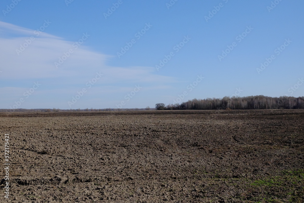 Obraz premium A plowed field on a sunny spring day. Blue sky over farmland. Landscape.