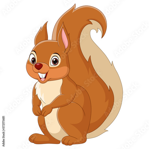 Cartoon happy squirrel isolated on white background