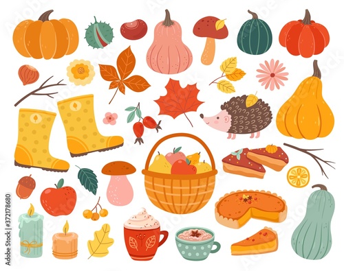 Cute autumn elements. Fall pumpkin, hedgehog november forest leaves. Thanksgiving and harvest season, cozy decoration vector illustration. Autumn pumpkin forest, collection of mushroom