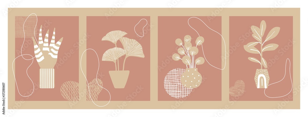 Contemporary floral cards. Modern fashion banners with plants in pots. Decorative stylish interior poster design, vintage grunge vector illustration. Floral contemporary card, background pattern