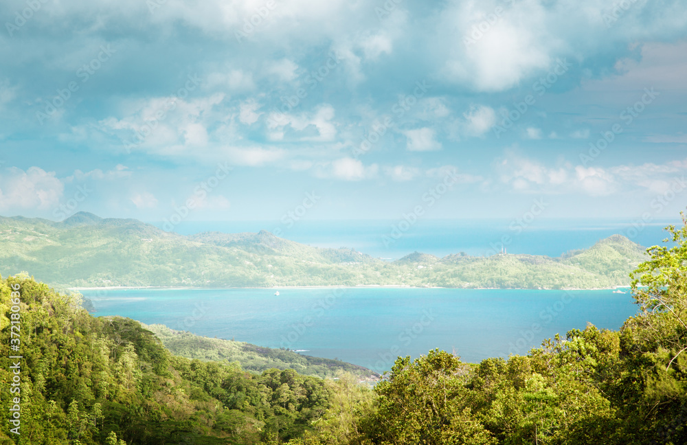 jungle of seychelles, Mahe island jungle of seychelles, Mahe island