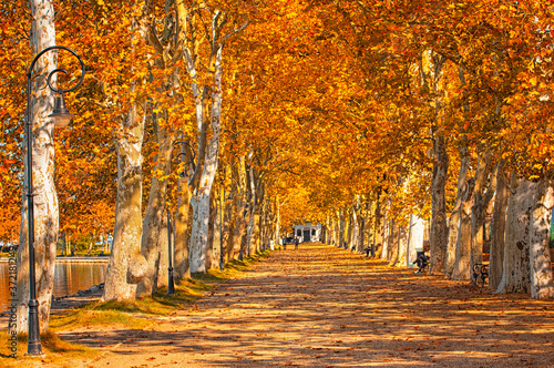 Fototapeta Naklejka Na Ścianę i Meble -  Pathway at lake Balaton in autumn