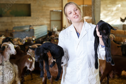 Portrait of qualified woman veterinarian working on goats farm, looking after little goats