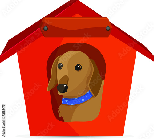 Illustration of cute dogs they are sitting in the shelter. Copy Space on the shelter