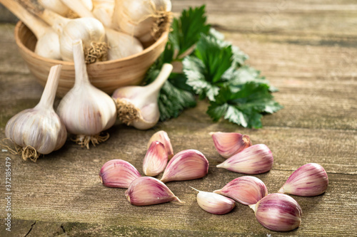 Fresh ripe garlic cloves and bulbs and celery leaves in bowl and vintage old wooden table. Healthy organic food, vitamins, BIO viands, natural background. Copy space for your advertising text message
