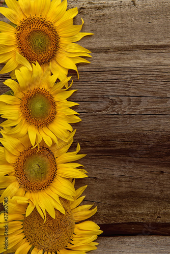 Fototapeta Naklejka Na Ścianę i Meble -  Sunflowers on a wooden background