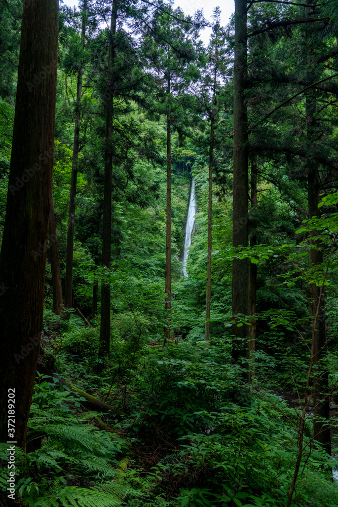 酒水の滝　神奈川県
