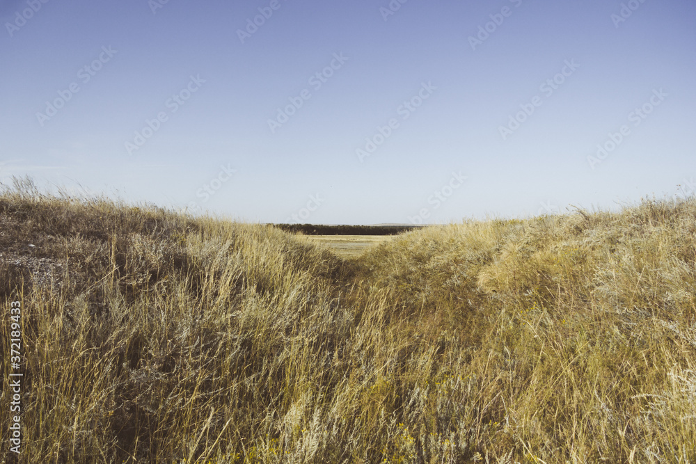 Obraz premium Chalk mountains. Sol-Iletsk, Russia. Travel across Russia.