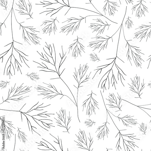 Monochrome plants on a white background. Vector seamless pattern.