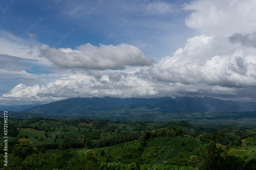 Landscape view with green forest during rainy season in Thailand.