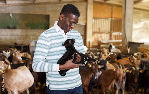 Portrait of African-American man successful breeder with goatlings on goat farm ..