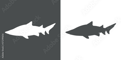 Silueta de tiburón toro en fondo gris y fondo blanco