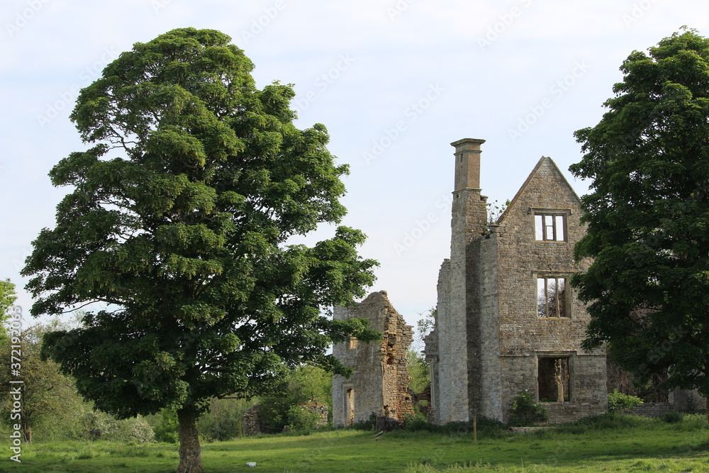 Ruined manor house