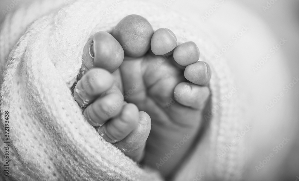 Tiny foot of newborn baby. Soft newborn baby feet against a pink