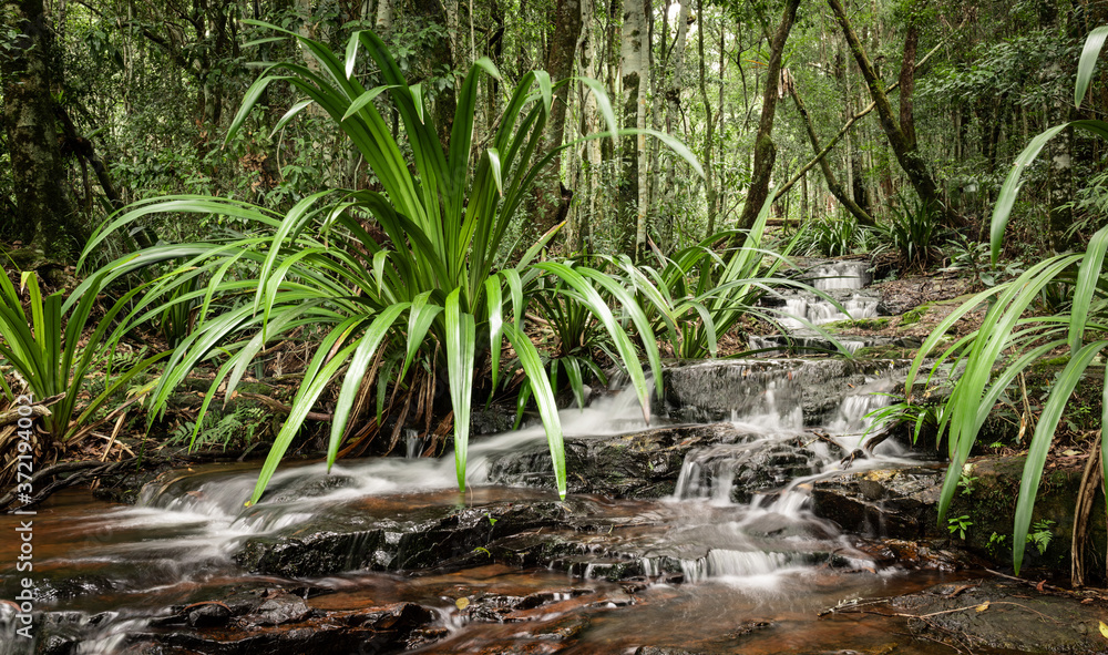 a cool creek flowing on the Twin Falls Walk a cool creek flowing on the Twin Falls Walk