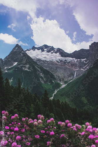 a mountain waterfall flowing down from a glacier in snow-capped mountains surrounded by coniferous fir forests and bright flowers