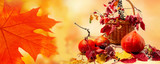 Autumn still life with pumpkins, berries and bright red golden yellow maple leaves. Autumn harvest decoration