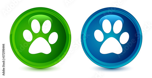 Animal footprint icon artistic shiny glossy blue and green round button set